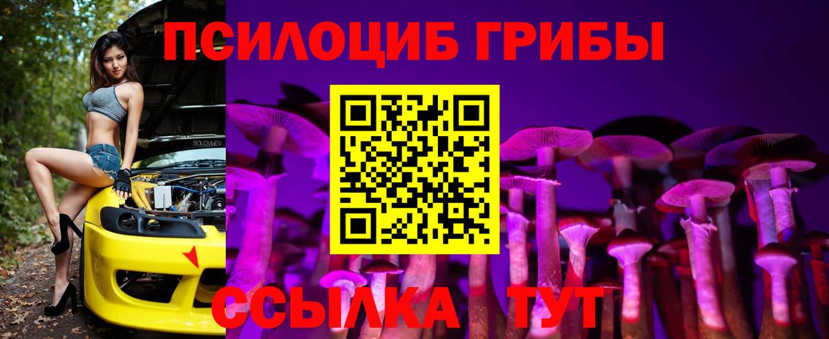 Галлюциногенные грибы мицелий Камень-на-Оби