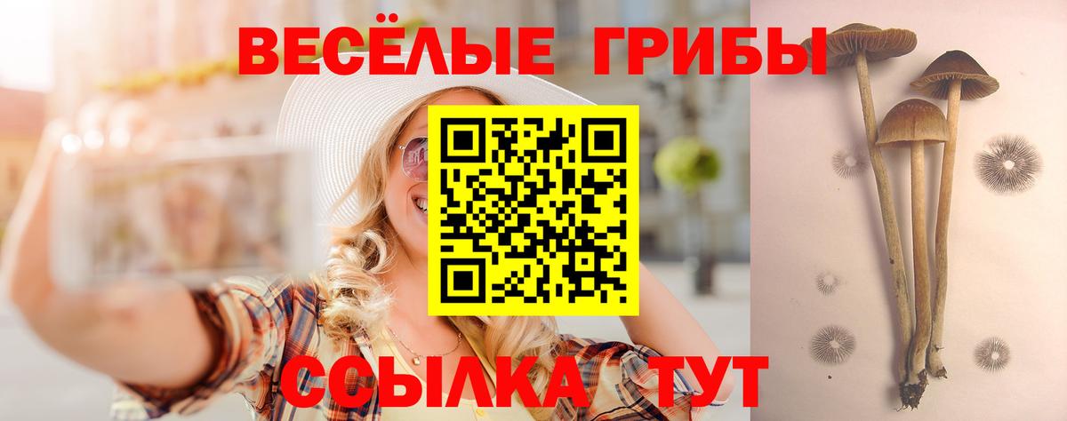 Галлюциногенные грибы ЛСД  где можно купить наркотик  Галлюциногенные грибы мухоморы  Камень-на-Оби  Вход с VPN 